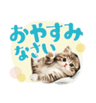 【日常挨拶】ねこさんといっしょ♪冬（個別スタンプ：20）