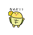 にっこりカメ（文字付き）（個別スタンプ：9）