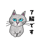 いつもそばにいる猫（個別スタンプ：6）