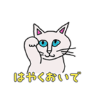 いつもそばにいる猫（個別スタンプ：19）