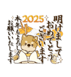 柴犬『年末年始』2024～2025（個別スタンプ：8）