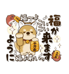 柴犬『年末年始』2024～2025（個別スタンプ：21）