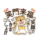 柴犬『年末年始』2024～2025（個別スタンプ：30）