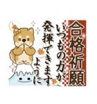 柴犬『年末年始』2024～2025（個別スタンプ：34）