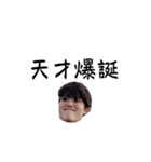 スギのLINEスタンプ（個別スタンプ：13）