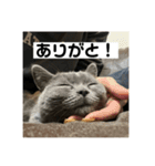 ぬん蔵（個別スタンプ：3）