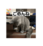 ぬん蔵（個別スタンプ：4）