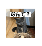 ぬん蔵（個別スタンプ：6）