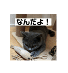 ぬん蔵（個別スタンプ：7）