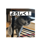 ぬん蔵（個別スタンプ：8）