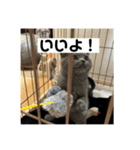ぬん蔵（個別スタンプ：9）