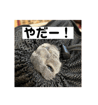 ぬん蔵（個別スタンプ：10）