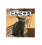ぬん蔵（個別スタンプ：13）