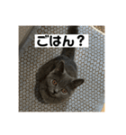 ぬん蔵（個別スタンプ：14）