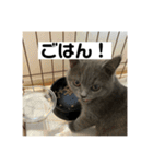 ぬん蔵（個別スタンプ：15）
