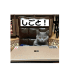 ぬん蔵（個別スタンプ：16）