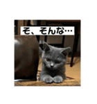 ぬん蔵（個別スタンプ：19）