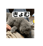 ぬん蔵（個別スタンプ：20）