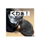 ぬん蔵（個別スタンプ：22）
