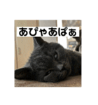 ぬん蔵（個別スタンプ：24）