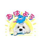 白犬プーちゃん2（個別スタンプ：9）