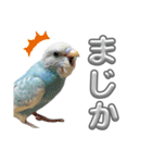 セキセイインコ のぽっちゃん大きな文字（個別スタンプ：34）