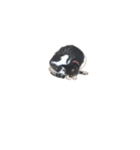 uti neco（個別スタンプ：2）