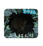 夜型茶トラ猫ちゃんスタンプ（個別スタンプ：1）