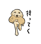 落ち着いてきたラブラドール（個別スタンプ：3）
