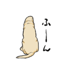 落ち着いてきたラブラドール（個別スタンプ：28）