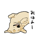 落ち着いてきたラブラドール（個別スタンプ：36）
