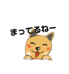 柴犬の1日あいさつ（個別スタンプ：3）
