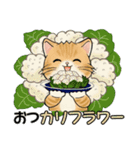 笑顔を運ぶ猫たち♡  ダジャレ編（個別スタンプ：13）