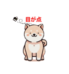 柴犬 ポーズ24（個別スタンプ：16）