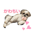 最高に可愛い愛犬スタンプ（個別スタンプ：8）