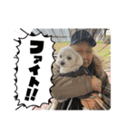最高に可愛い愛犬スタンプ（個別スタンプ：23）