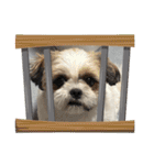 最高に可愛い愛犬スタンプ（個別スタンプ：28）