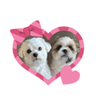 最高に可愛い愛犬スタンプ（個別スタンプ：30）