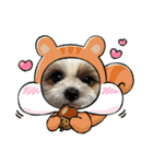 最高に可愛い愛犬スタンプ（個別スタンプ：32）