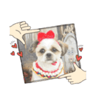 最高に可愛い愛犬スタンプ（個別スタンプ：35）