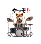 柴犬ドラマー（個別スタンプ：11）