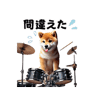 柴犬ドラマー（個別スタンプ：33）