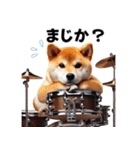 柴犬ドラマー（個別スタンプ：39）