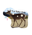 奈良の鹿さん★スタンプ（個別スタンプ：4）