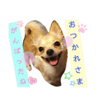 ナナコ©のスタンプ②（個別スタンプ：1）