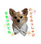 ナナコ©のスタンプ②（個別スタンプ：3）