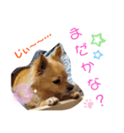 ナナコ©のスタンプ②（個別スタンプ：4）