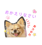 ナナコ©のスタンプ②（個別スタンプ：5）