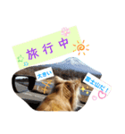 ナナコ©のスタンプ②（個別スタンプ：7）