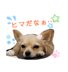 ナナコ©のスタンプ②（個別スタンプ：9）